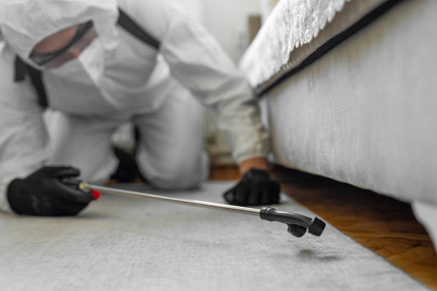 Professional Pest Control technician working in Harrison County County, MS